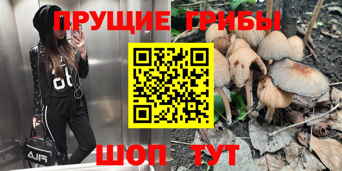 Псилоцибиновые грибы Magic Shrooms  Псилоцибиновые грибы Psilocybine cubensis  Трёхгорный  Вход с VPN 